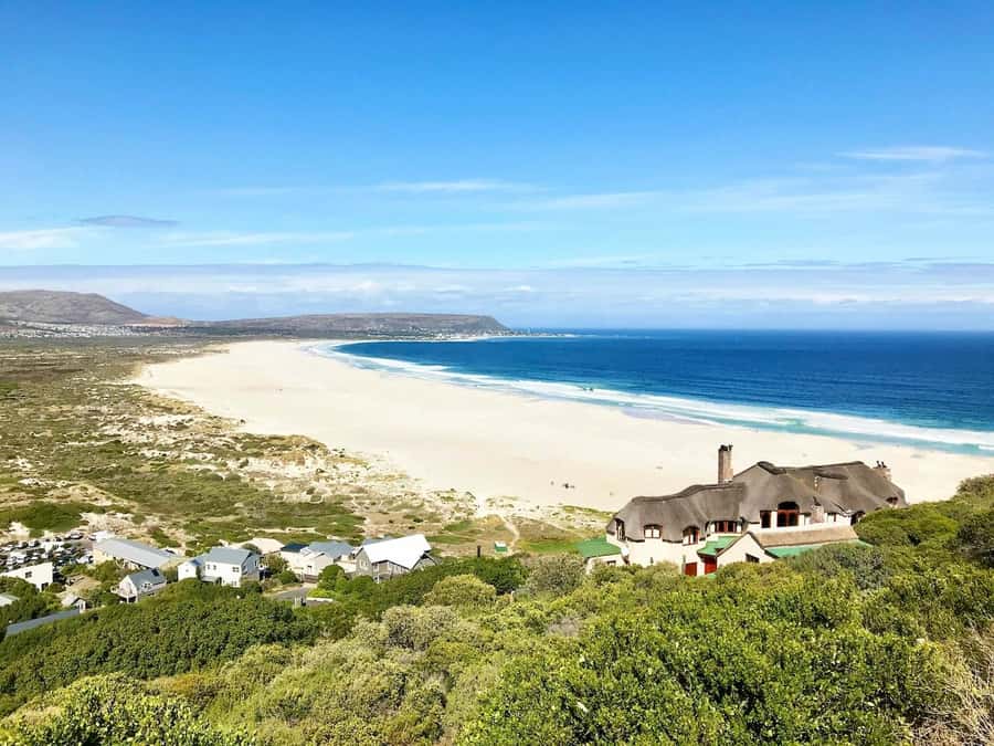 Cape Town: Cape Point and Penguin Colony Full Day Tour - Guides, vehicles, and pickup details