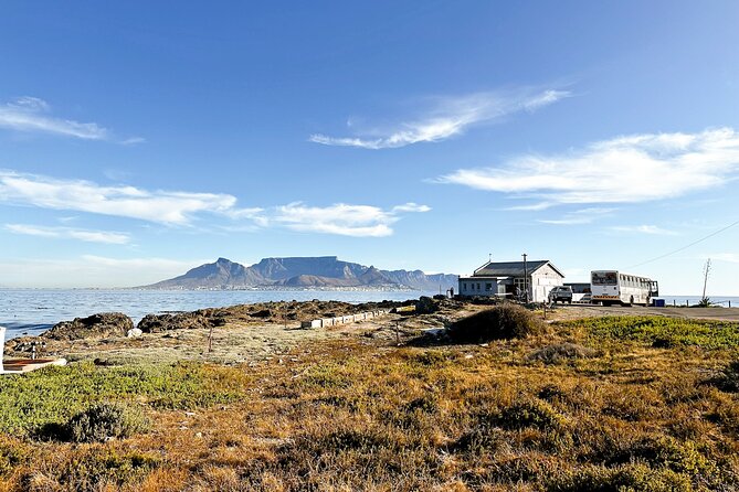 Cape Town City Highlights & Table Mountain Tour - What the $148.70 price buys you