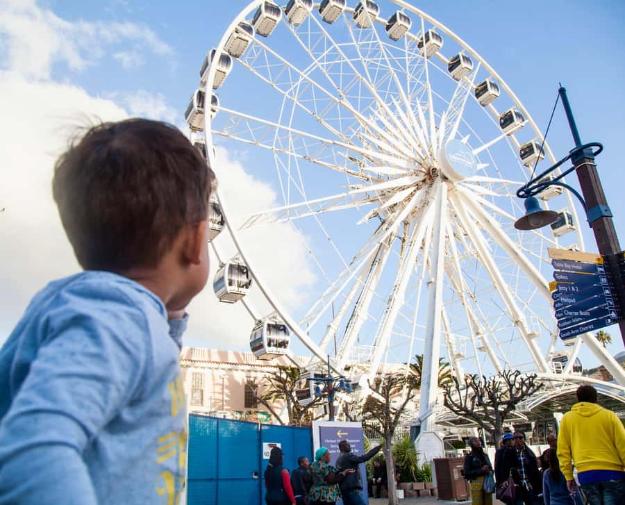 Cape Town City Pass: Save Over 50% on 80+ Top Attractions - Premium activities and the fine print