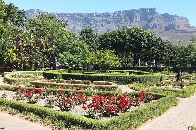 Cape Town City Tour Camps Bay Beach Plus Table Mountain Ticket - The Company’s Garden and the story of slavery