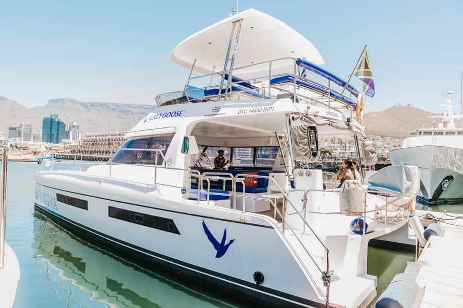 Cape Town: Coastal Cruise & 14-piece Sushi Meal - A Catamaran Ride With a Lively Beat