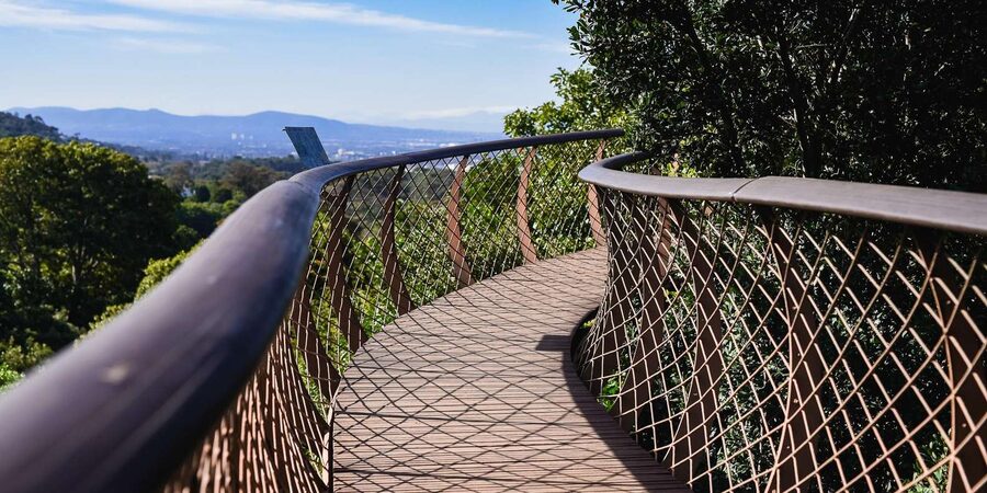 Cape Town: Constantia Half-Day Wine Tour & Tastings - Is $115 a Fair Price?