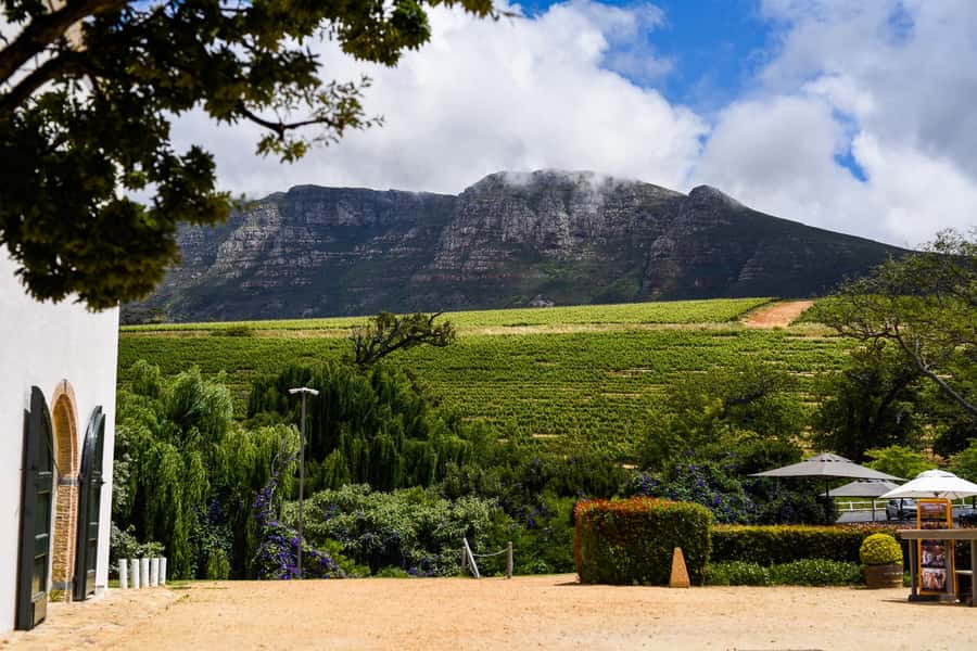 Cape Town: Constantia Half-Day Wine Tour & Tastings - Groot Constantia: South Africa’s Historic Starting Point