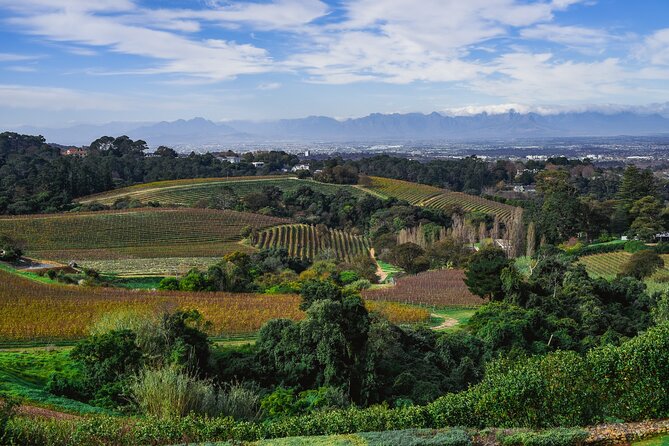 Cape Town: Constantia Wine Route Tour - La Cotte Farm: the practical lunch break