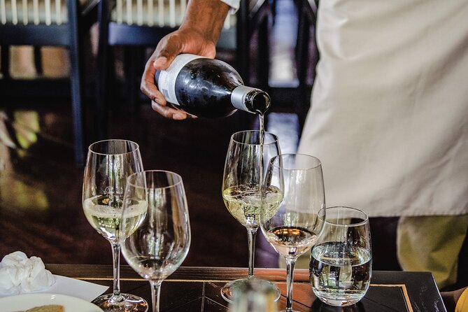 Cape Town: Constantia Wine Route Tour - Who should book this wine route?