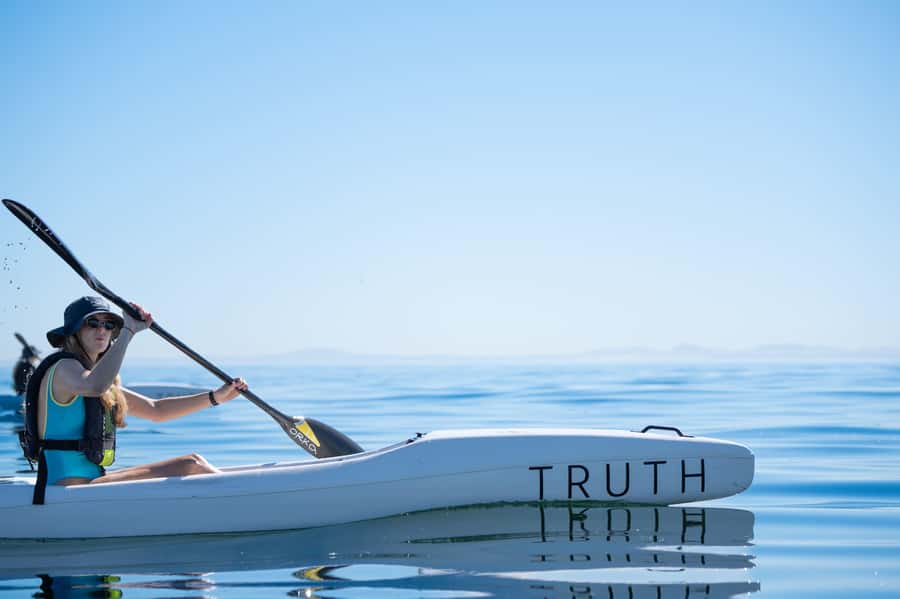 Cape Town: Dolphin & Ocean Wildlife Kayaking Adventure ⚓️ - Key points at a glance