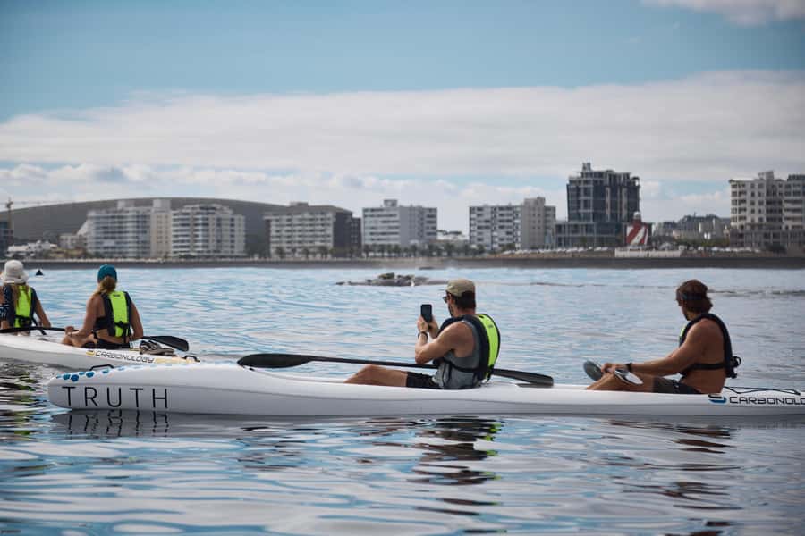 Cape Town: Dolphin & Ocean Wildlife Kayaking Adventure ⚓️ - Watching for dolphins, penguins and seals