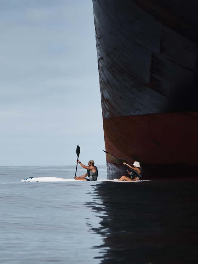 Cape Town: Dolphin & Ocean Wildlife Kayaking Adventure ⚓️ - Who should book this ocean adventure