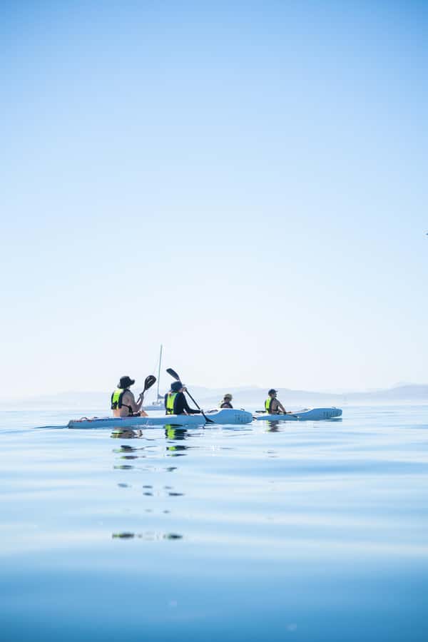 Cape Town: Dolphin & Ocean Wildlife Kayaking Adventure ⚓️ - Practical details that make the morning easier