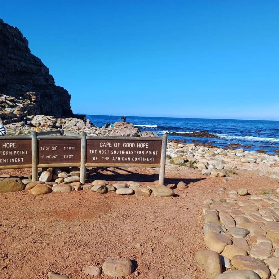 Cape Town: Full Day Cape of Good Hope with Penguins Tour - Sea Point, Camps Bay, and the Atlantic coast
