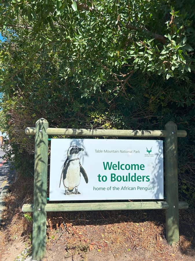 Cape Town: Full Day Cape of Good Hope with Penguins Tour - Entering Cape Point Nature Reserve