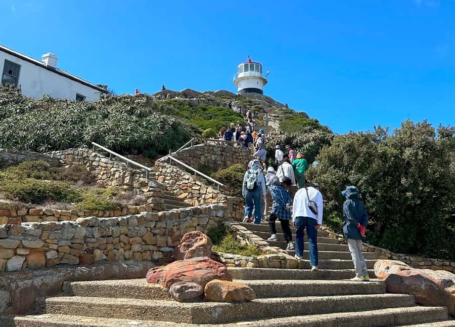 Cape Town: Full Day Cape of Good Hope with Penguins Tour - The New Cape Point Lighthouse