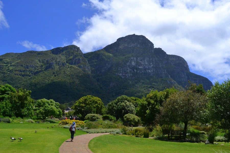 Cape Town: Full-Day Kirstenbosch, Bo-Kaap, and Penguins Tour - Muizenberg, St James, and Kalk Bay