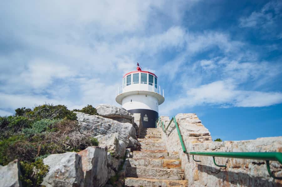Cape Town: Full-Day Private Peninsula Tour - What the $121 price includes, and what it leaves out