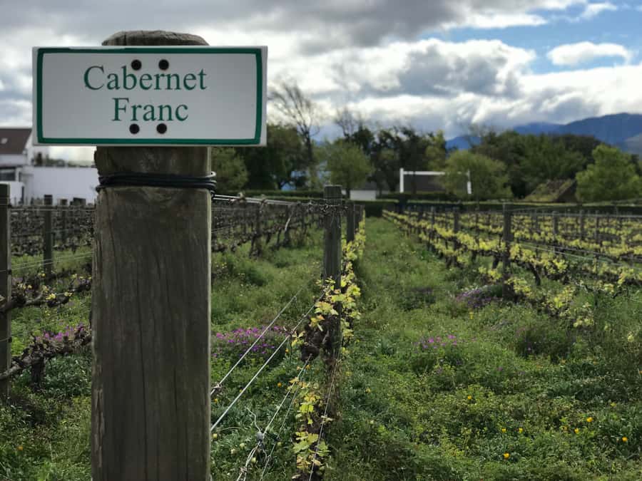 Cape Town: Full-Day Stellenbosch and Franschhoek Wine Tour - Boschendal: 330 years of winemaking