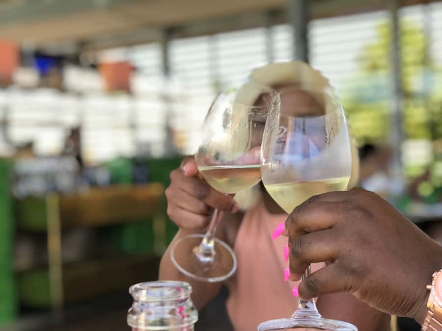 Cape Town: Full-Day Stellenbosch and Franschhoek Wine Tour - Who should book this wine tour?