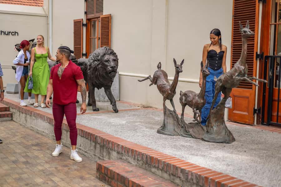 Cape Town: Full-Day Wine Tasting Tour with Wine Tram - Choosing between Rickety Bridge, Grande Provence, and Franschhoek Cellar