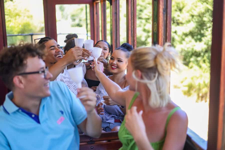 Cape Town: Full-Day Wine Tasting Tour with Wine Tram - What the guides add to the day