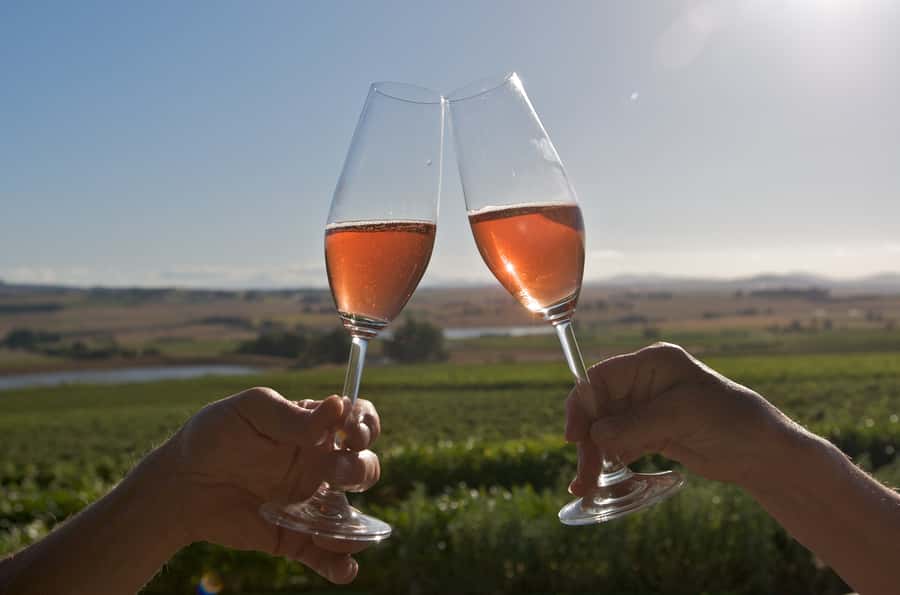Cape Town: Full-Day Winelands Tour with Wine Tastings & Food - Key points at a glance