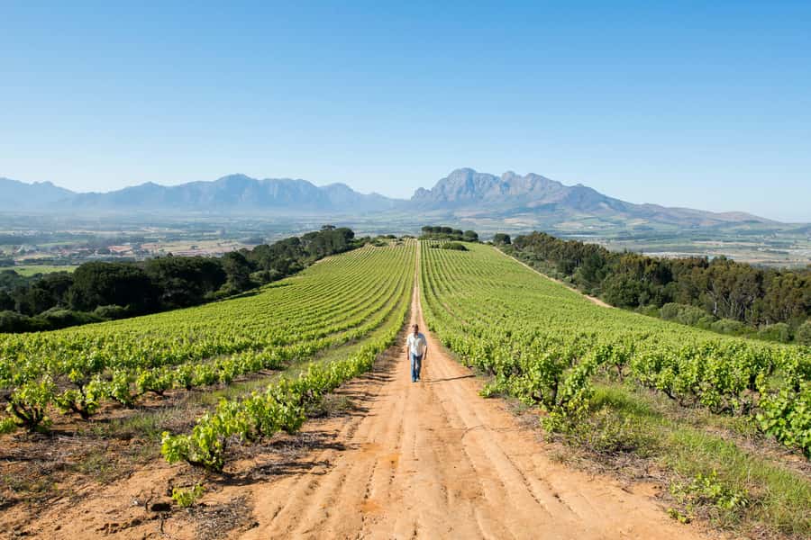 Cape Town: Full-Day Winelands Tour with Wine Tastings & Food - Franschhoek brings French roots and a chocolate pairing