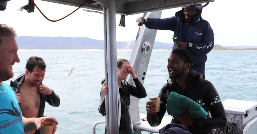 Cape Town: Gansbaai Eco-Friendly Shark Cage Diving Cruise - Cold water, wet gear, and comfort
