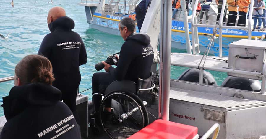 Cape Town: Gansbaai Eco-Friendly Shark Cage Diving Cruise - Who should book this Gansbaai outing?