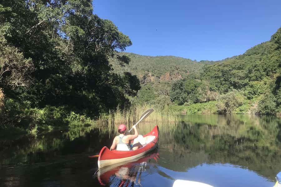 Cape Town: Garden Route and Addo Elephant Park 6-Day Safari - Day 2: Route 62, wine, and the Little Karoo