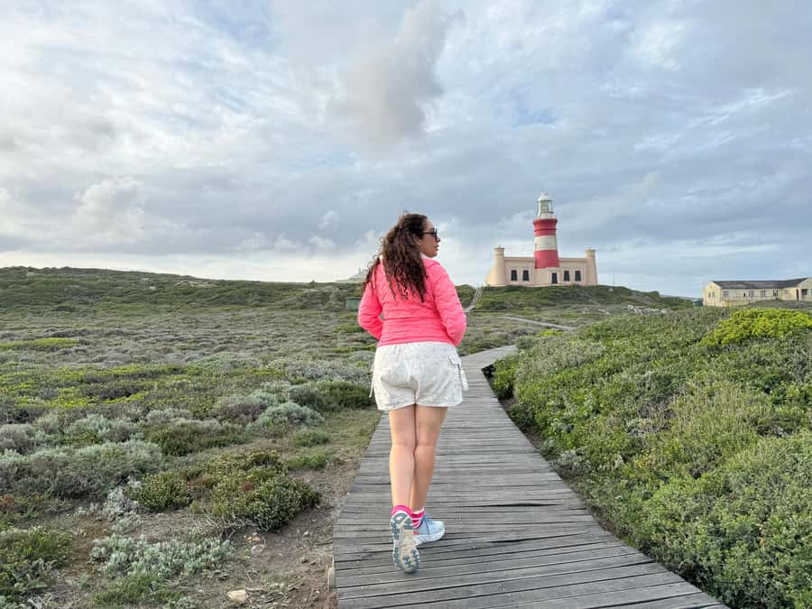 Cape Town: Garden Route and Addo Elephant Park 6-Day Safari - Day 3: Canoeing and a short forest hike in Wilderness