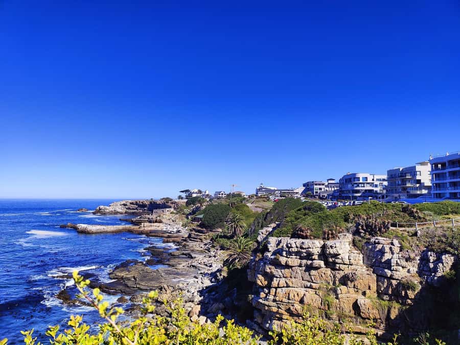 Cape Town: Garden Route and Addo Elephant Park 6-Day Safari - Day 5: Addo Elephant National Park