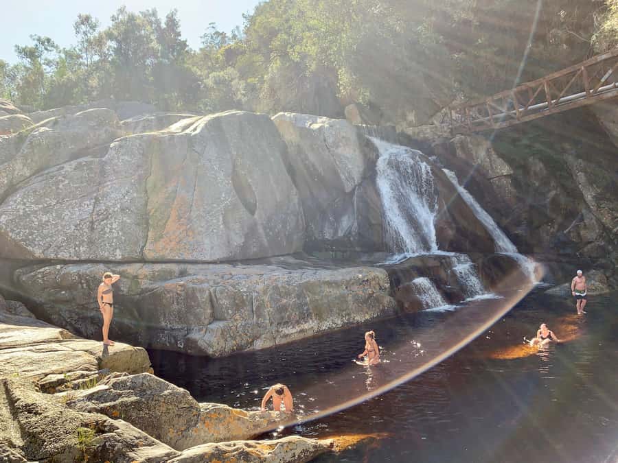Cape Town: Garden Route and Addo Elephant Park 6-Day Safari - Accommodation, meals, and the real value of $852