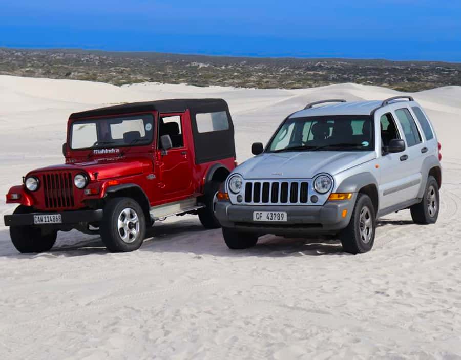 CAPE TOWN: GLAM SANDBOARDING IN ATLANTIS DUNES WITH WILDX - Reaching the white dunes from the nature reserve