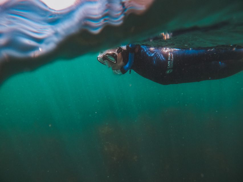 Cape Town: Great African Sea Forest Guided Snorkel - Photos make a practical souvenir