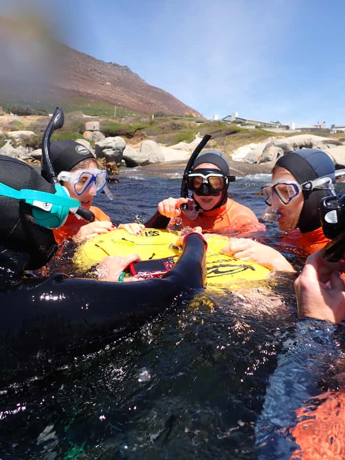 Cape Town: Great African Sea Forest Guided Snorkel - Starting at Cape RADD in False Bay