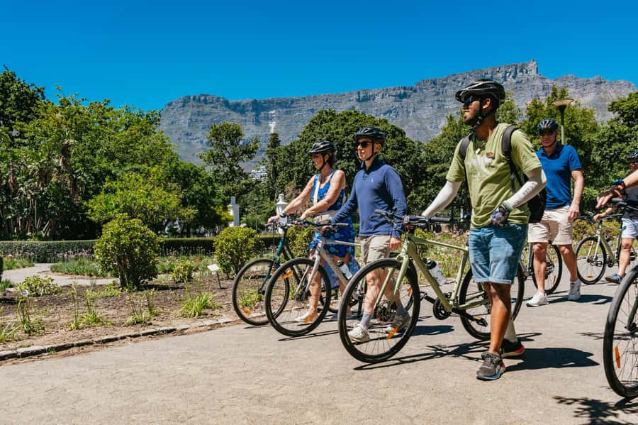 Cape Town: Guided Bike Tour - What the $100 price gets you