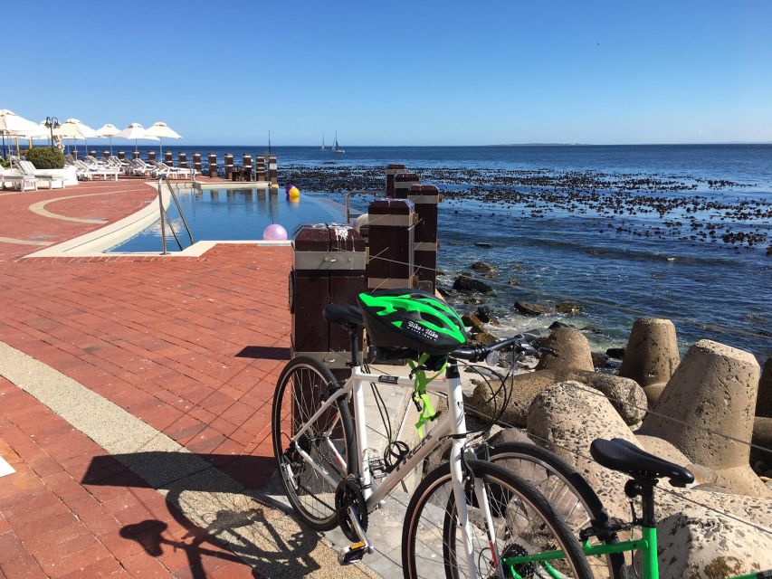 Cape Town Guided City Cycling Heritage Tour - Private Tour - Company Gardens adds a quiet pause
