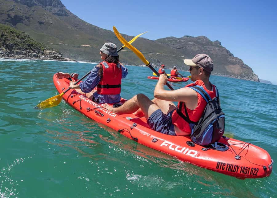 Cape Town: Guided Kayak Tour - Key points to know before you paddle