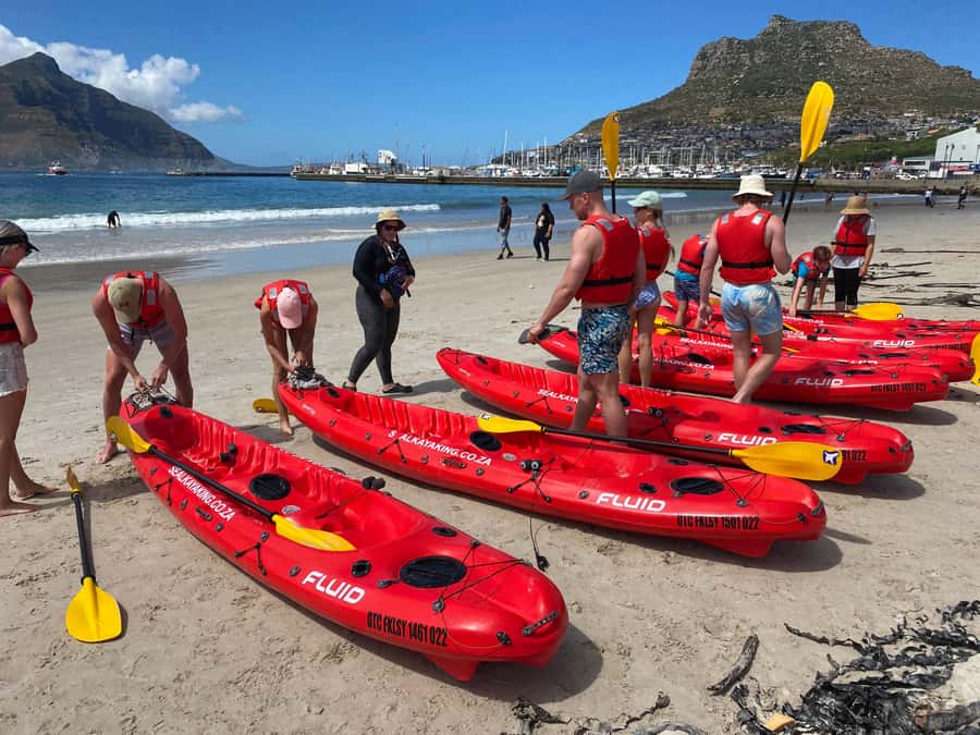 Cape Town: Guided Kayak Tour - Getting comfortable in a two-person kayak