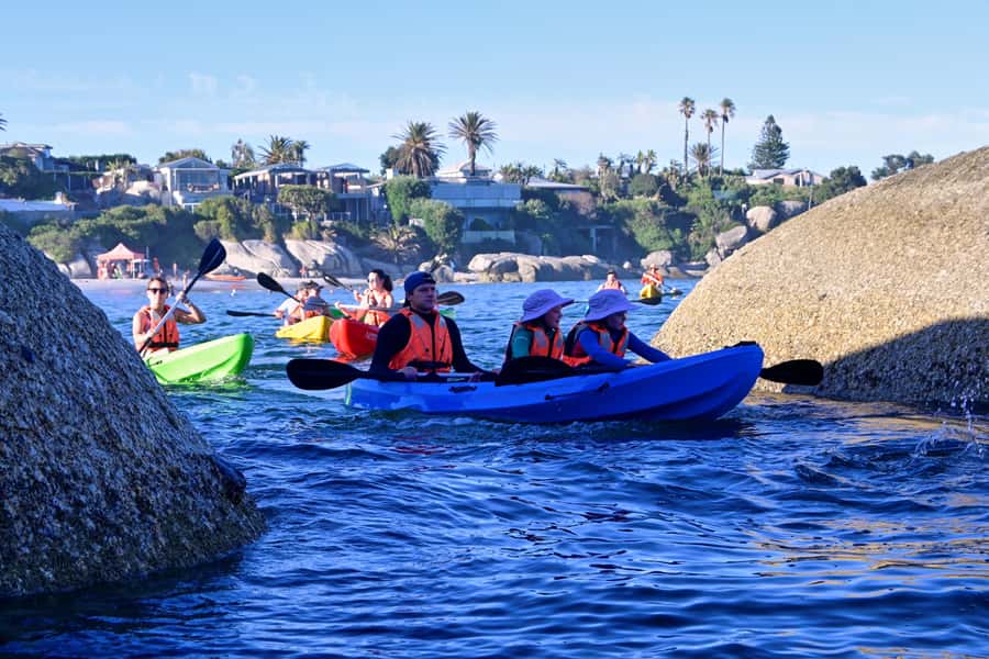 Cape Town: Guided Kayak Tour of Clifton Beaches & The Coast - Key points to know before you book