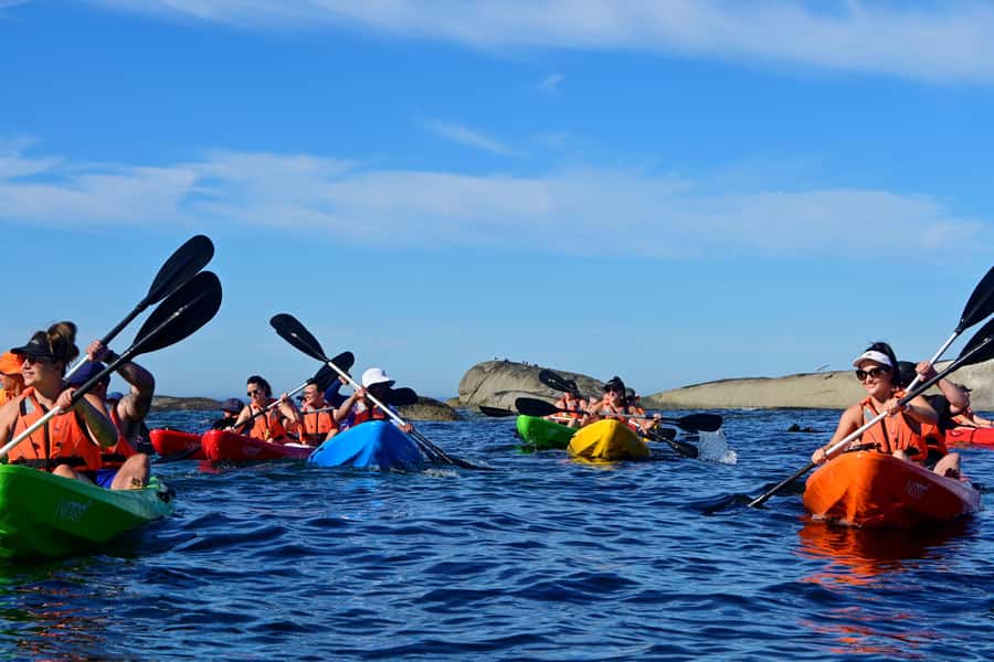 Cape Town: Guided Kayak Tour of Clifton Beaches & The Coast - Why Clifton looks different from a kayak