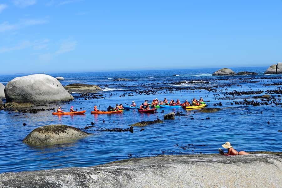 Cape Town: Guided Kayak Tour of Clifton Beaches & The Coast - Seals, kelp, and Maiden’s Cove