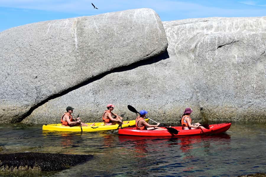 Cape Town: Guided Kayak Tour of Clifton Beaches & The Coast - The return and free paddling time