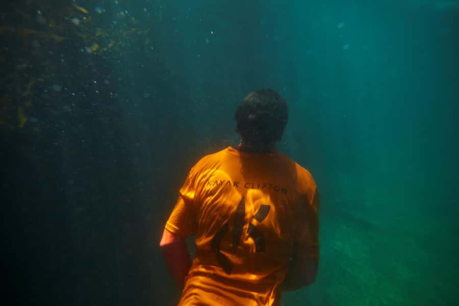 Cape Town: Guided Kayak Tour of Clifton Beaches & The Coast - Who will enjoy this Clifton kayak trip