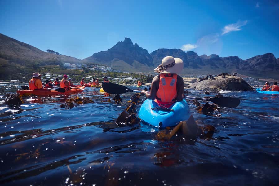 Cape Town: Guided Kayak Tour of Clifton Beaches & The Coast - Should you book it?