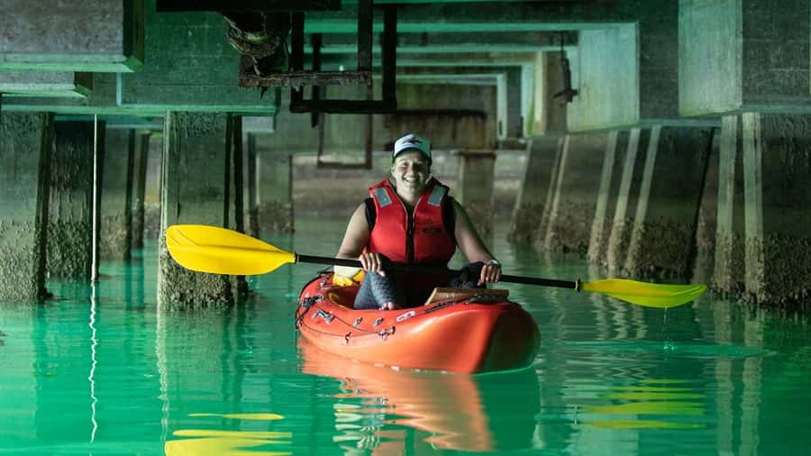 Cape Town: Guided Kayak Tour - Meeting the Animal Ocean crew in Hout Bay
