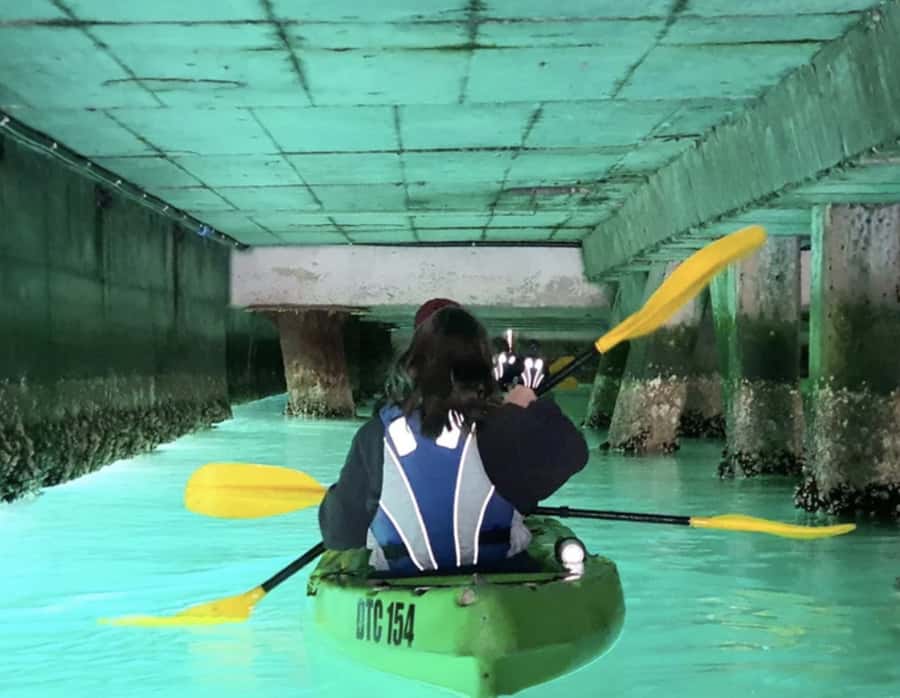Cape Town: Guided Kayaking in Hout Bay - Key points before you book