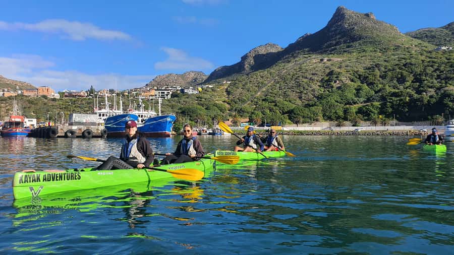 Cape Town: Guided Kayaking in Hout Bay - Who will enjoy this most