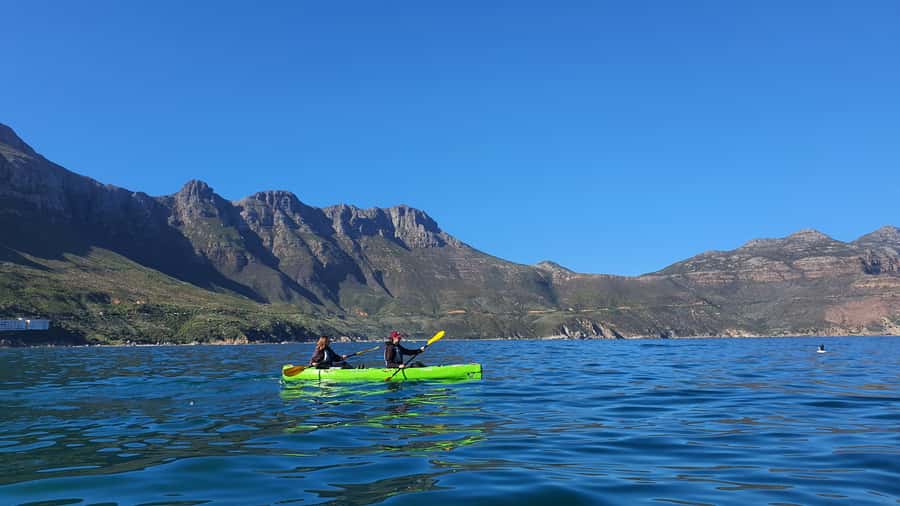 Cape Town: Guided Kayaking in Hout Bay - Should you book the Hout Bay kayak tour?