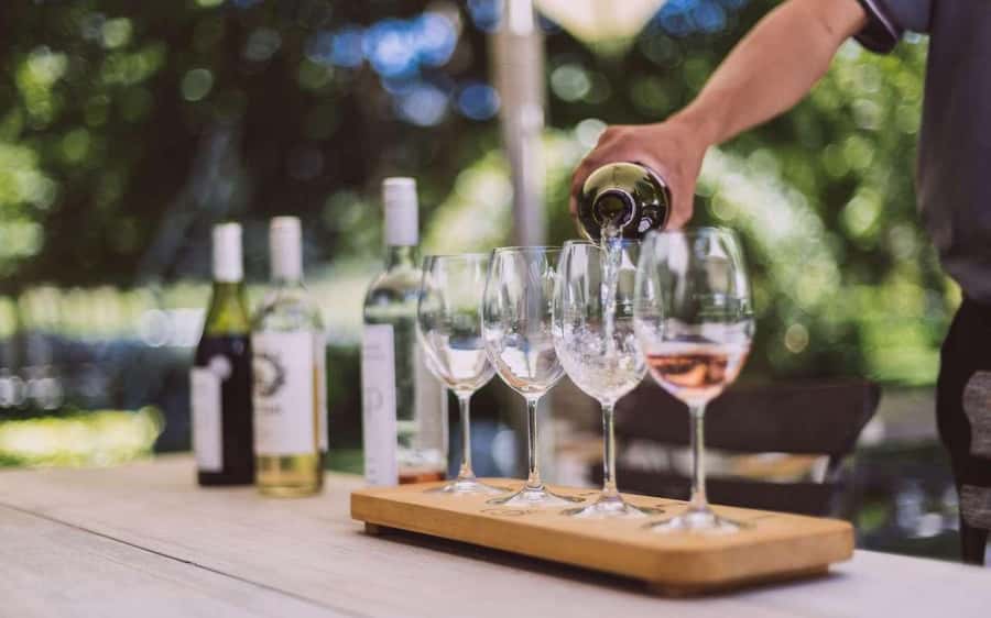 Cape Town: Guided Winelands Tour & Tasting in Stellenbosch - From Cape Town to the Stellenbosch Vineyards
