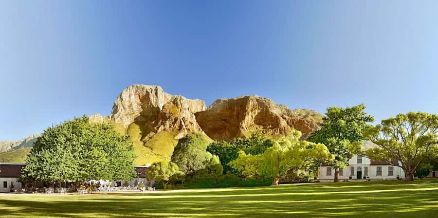 Cape Town: Guided Winelands Tour & Tasting in Stellenbosch - Who Should Book This Winelands Tour?