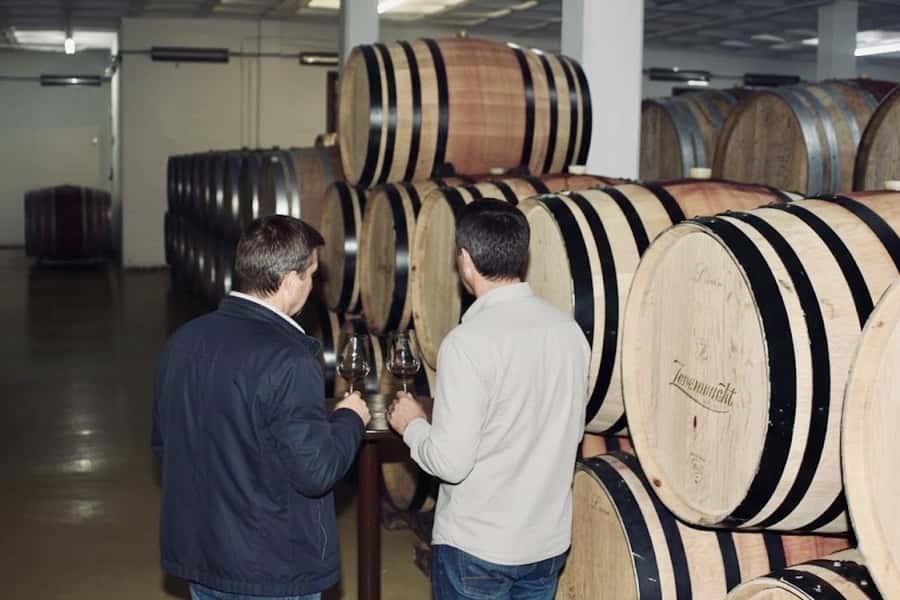 Cape Town: Guided Winelands Tour & Tasting in Stellenbosch - Practical Details Before You Go